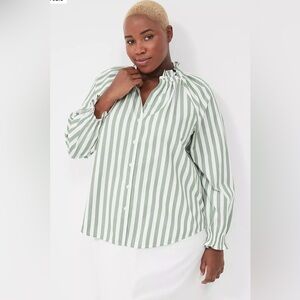 Lane Bryant Long Sleeved Sage Striped Blouse